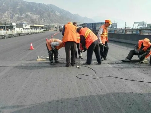 宁夏道路桥梁病害治理